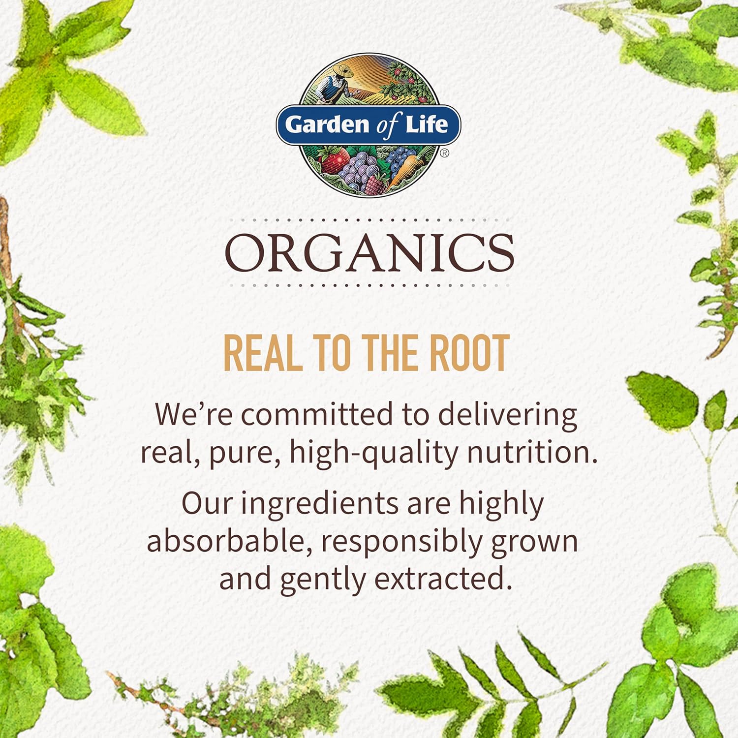 Garden of Life Organics Women 40+ Gummy Vitamins - Berry - Certified Organic, Non-GMO, Vegan, Kosher Complete Multi - Methyl B12, C & D3 - Gluten, Soy & Dairy Free, 120 Real Fruit Gummies - Image 8