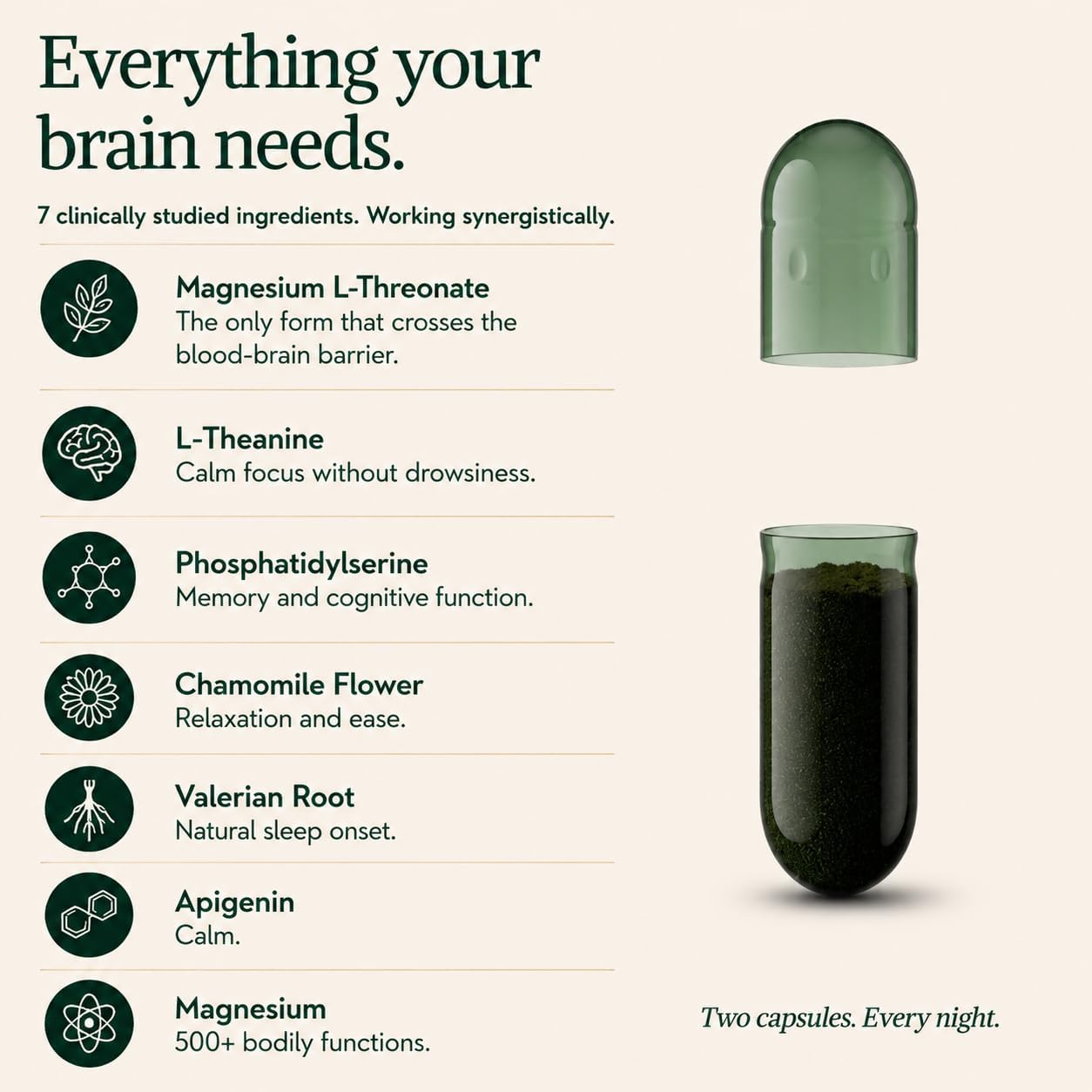 Magnesium L-Threonate with Apigenin, Valerian Root & L-Theanine – No Melatonin Restful Sleep & Brain Supplement – Clinically Studied 7-Ingredient Formula – Memory & Focus – 60 Capsules - Image 3