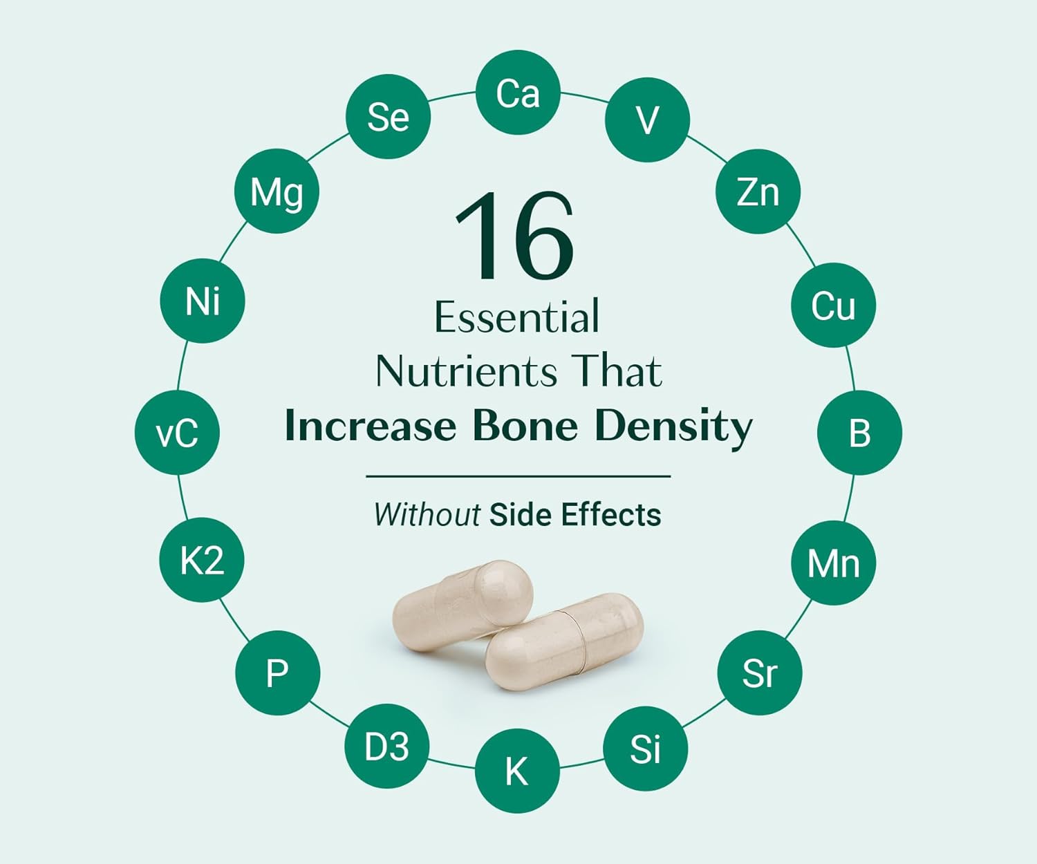 ALGAECAL Organic Red Algae Calcium Supplement for Bone Density, Vitamin K2 MK7 (100mg), Vitamin D3 (1600 IU), Magnesium (350mg) & Trace Minerals & Strength, Easy to Swallow, 120 Veggie Caps - Image 5