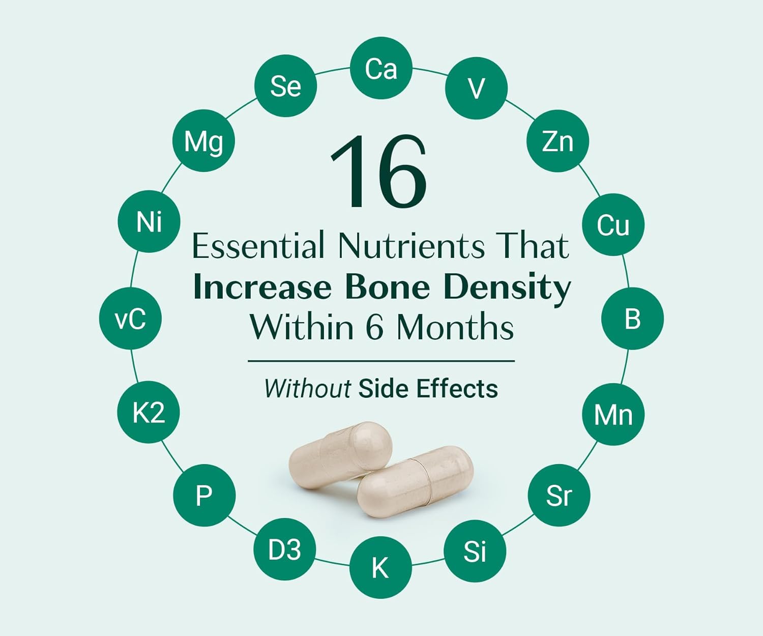 ALGAECAL Bone Builder Pack - Plant Based Calcium Supplement & Strontium - Organic Calcium 750mg with Vitamin D3 1600 IU, Vitamin K2, Magnesium, 16 Nutrients for Bone Health & Density (1-Month Supply) - Image 7