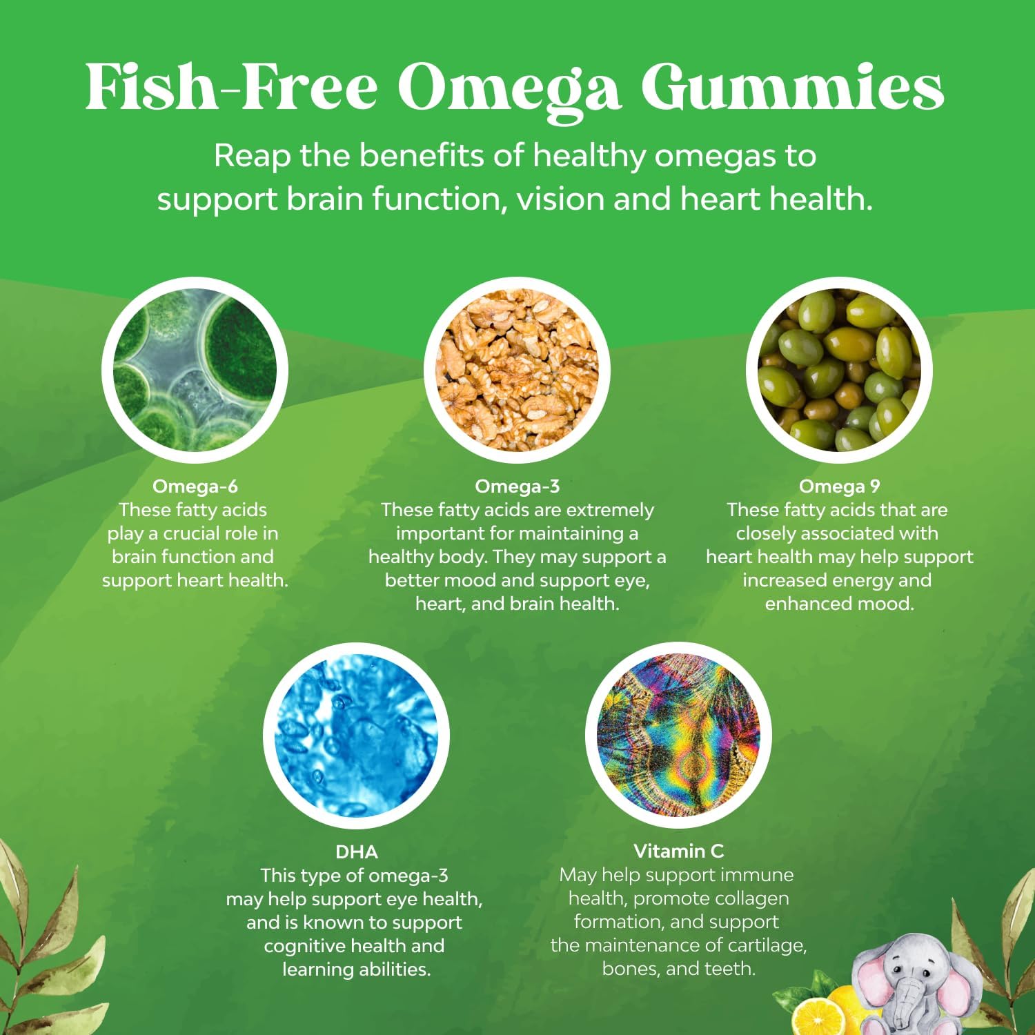Bundle of Plant Based Omega 3 Gummies for Kids and Natural Cranberry Gummies for Women and Men - for Vision Immunity and Focus Support - for Urinary Tract Health Kidney Support Bladder and Immunity - Image 3
