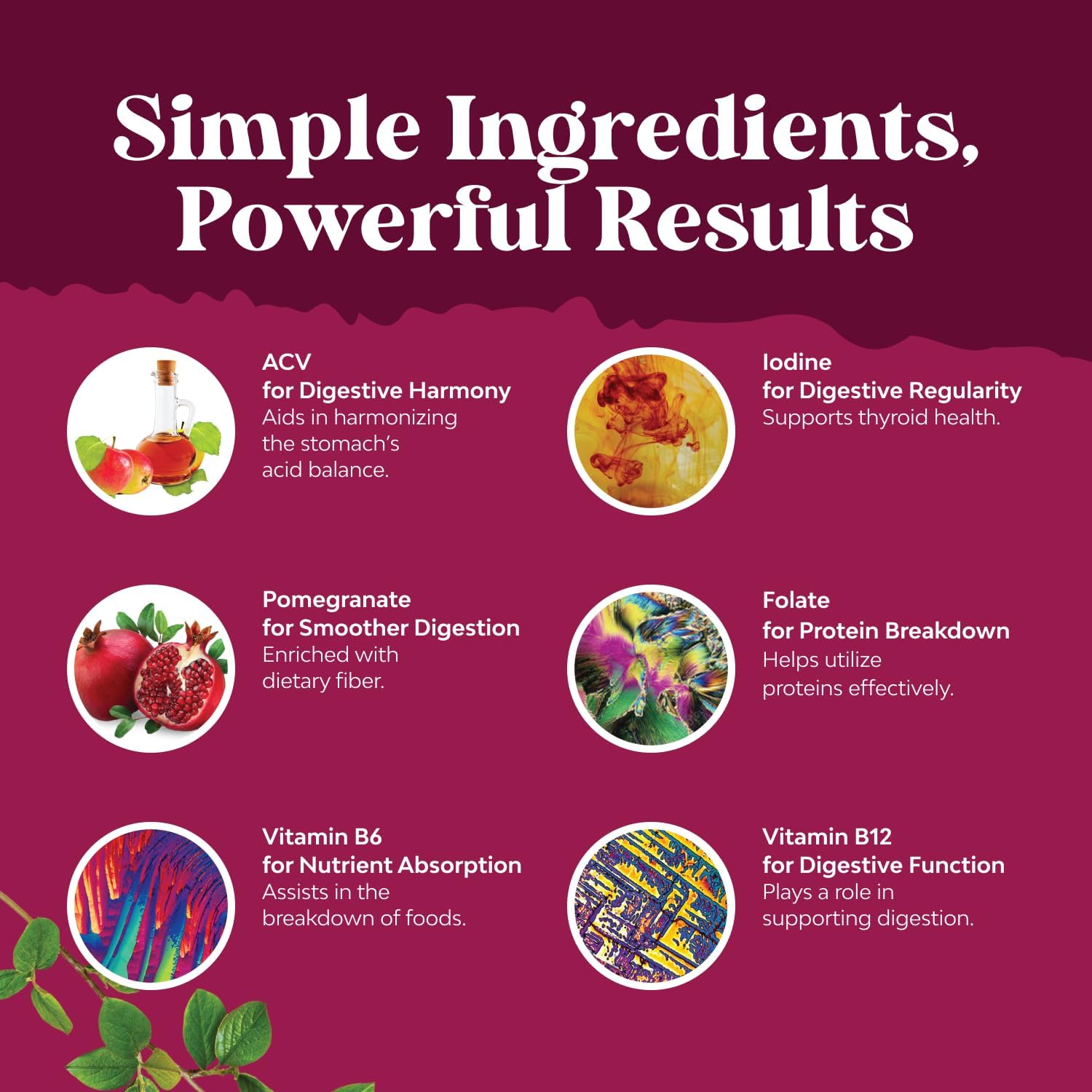 Apple Cider Vinegar Gummies with Mother - Cleanse & Detox ACV Gummies for Weight Loss, Gut Health, Bloating, Metabolism & Energy Support - ACV with Mother with B12 Vitamin, B6 & Pomegranate - 60 Ct - Image 4