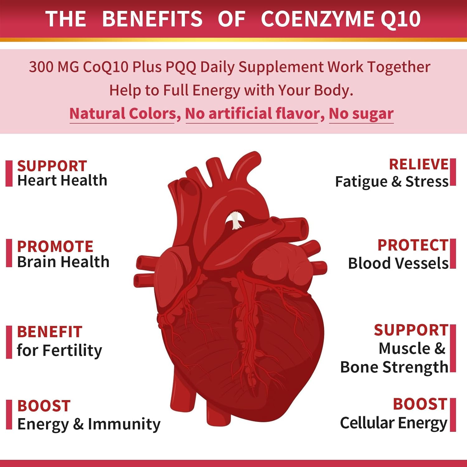 ZEBORA CoQ10-300mg-Softgels with PQQ, BioPerine & Omega-3, 120 Servings Coenzyme Q10 (Ubiquinone) Supplement for High-Absorption, Powerful-Antioxidant, Support Heart-Health & Energy-Production - Image 4