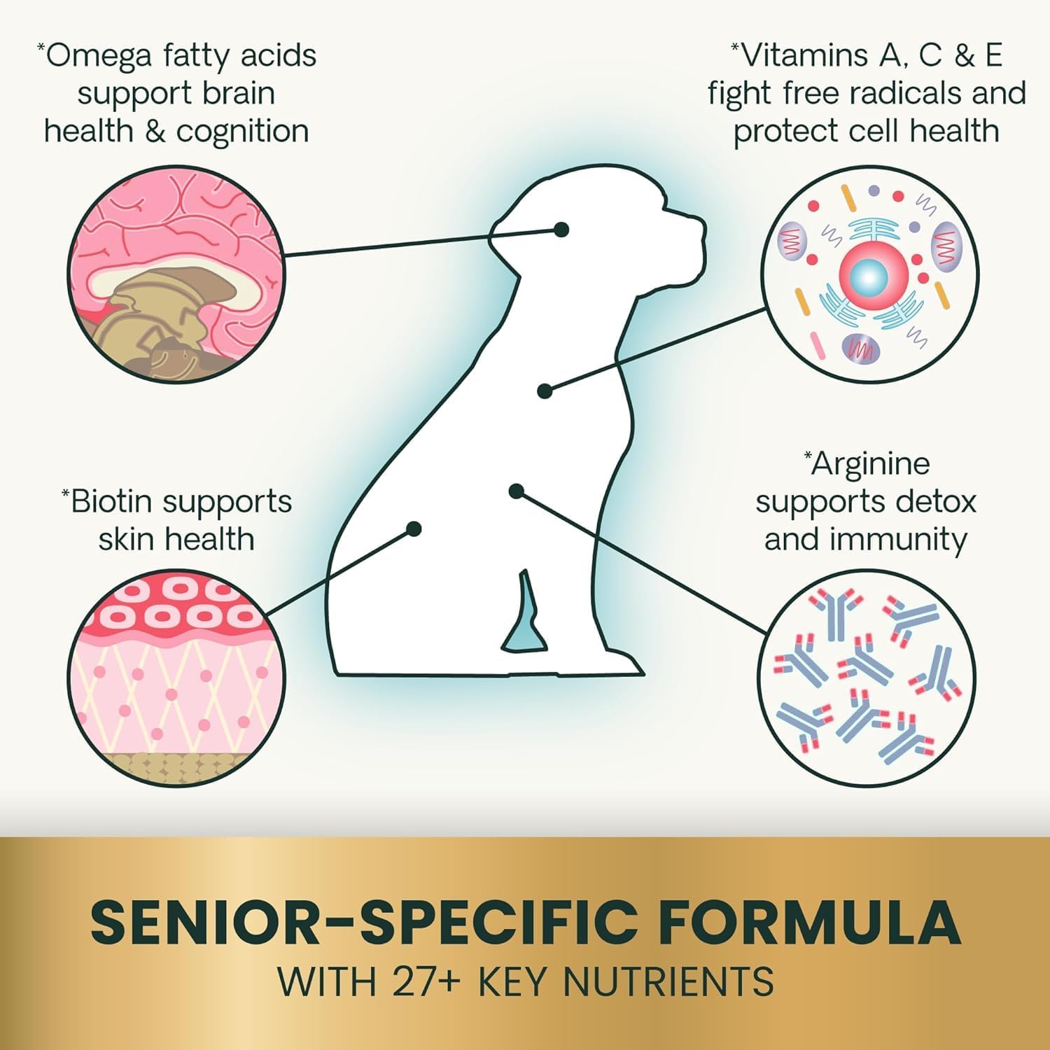 VetriScience Senior 27+ Active Health Chews, Canine Plus Daily Multivitamin for Senior Dogs, Balanced Vitamins, Minerals and Antioxidants, Healthy Aging and Wellness Support, Veggie, 60 Count - Image 4