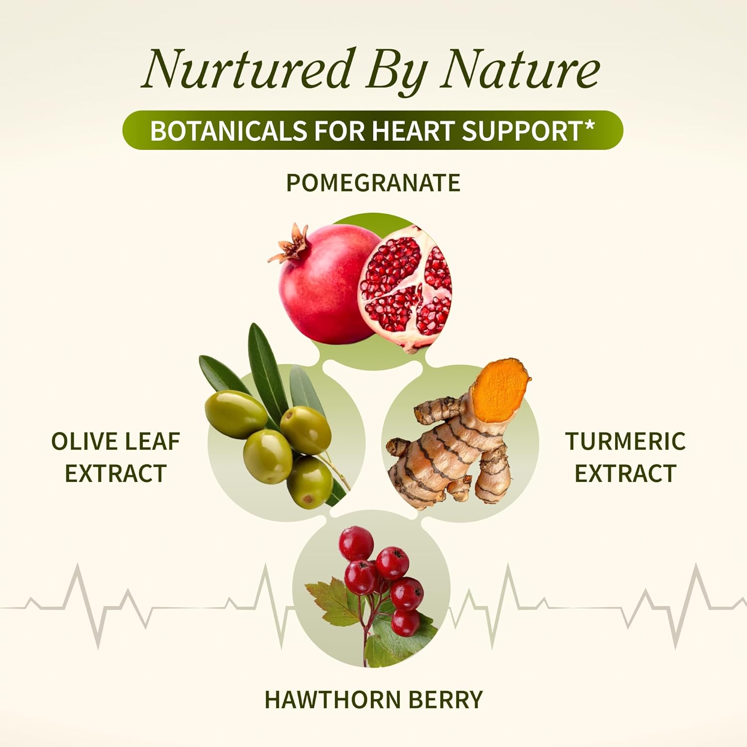 Snap Supplements Heart Health Support Supplement - Botanical Support for Heart Health, Healthy Circulation, and Nitric Oxide Levels, 30-Day Supply, 90 Capsules (Packaging May Vary) - Image 3