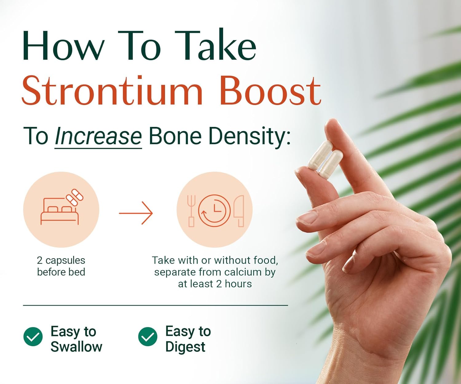 AlgaeCal - Strontium Boost, Natural Calcium Supplement for Bone Density Increase, Strontium Citrate 680 mg, Easy to Swallow for Bone Health & Bone Strength, Gluten-Free - 60 Veggie Caps- Made in USA - Image 7