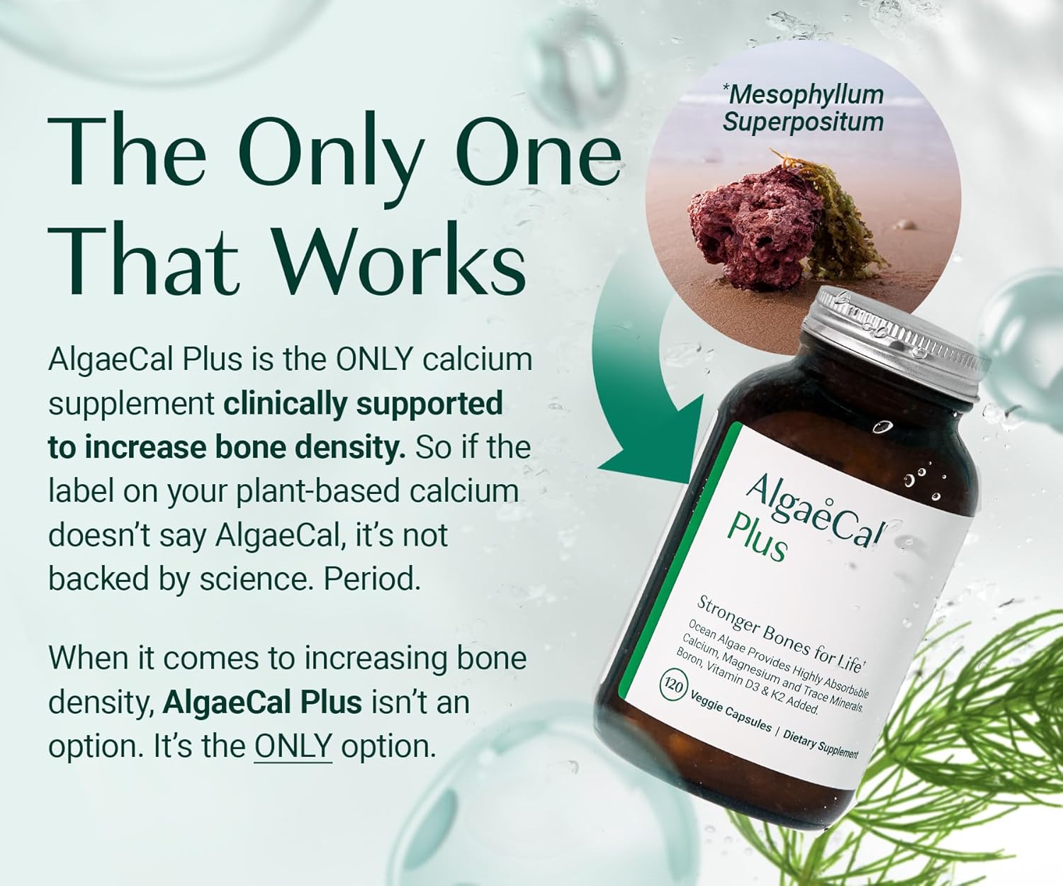 ALGAECAL Organic Red Algae Calcium Supplement for Bone Density, Vitamin K2 MK7 (100mg), Vitamin D3 (1600 IU), Magnesium (350mg) & Trace Minerals & Strength, Easy to Swallow, 120 Veggie Caps - Image 3