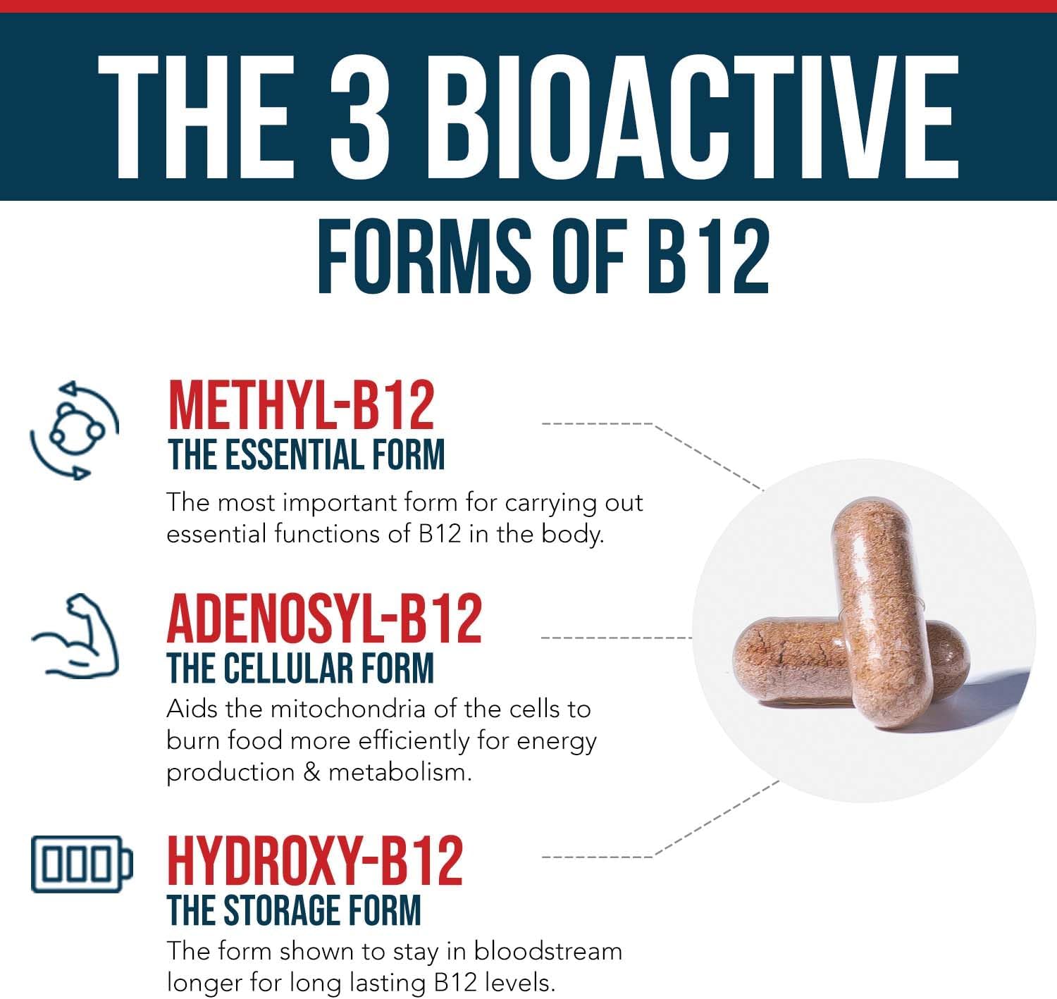 BioActive Vitamin B12 - 1000 mcg, Contains All 3 Coenzyme Forms (Methyl, Adenosyl & Hydroxy) Plus Methylfolate Cofactor | Supports Energy, Metabolism & Mood | Vegan, Non-GMO (60 Servings) - Image 3