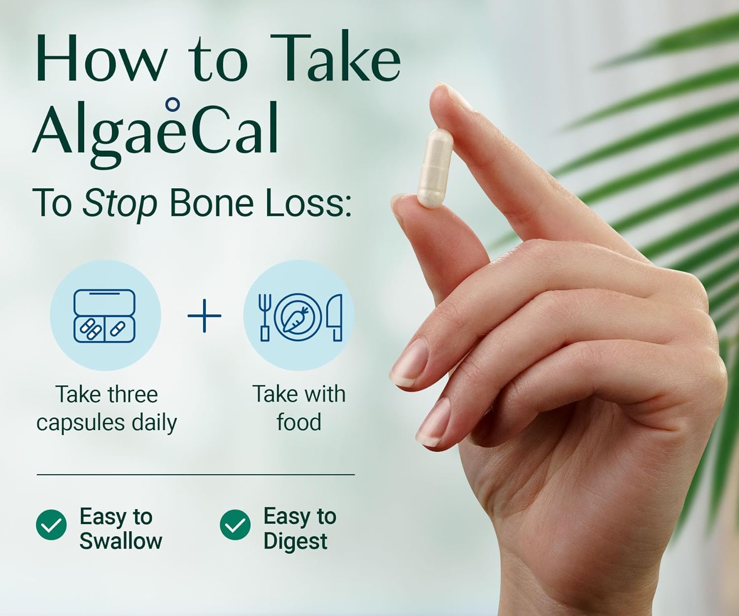 ALGAECAL - Plant Based Calcium Supplement for Women & Men - Organic Calcium 750mg with Vitamin D3 1000 IU, 13 Minerals for Bone Strength, Bone Health Support, 90 Veggie Caps (1 Pack) - Image 7