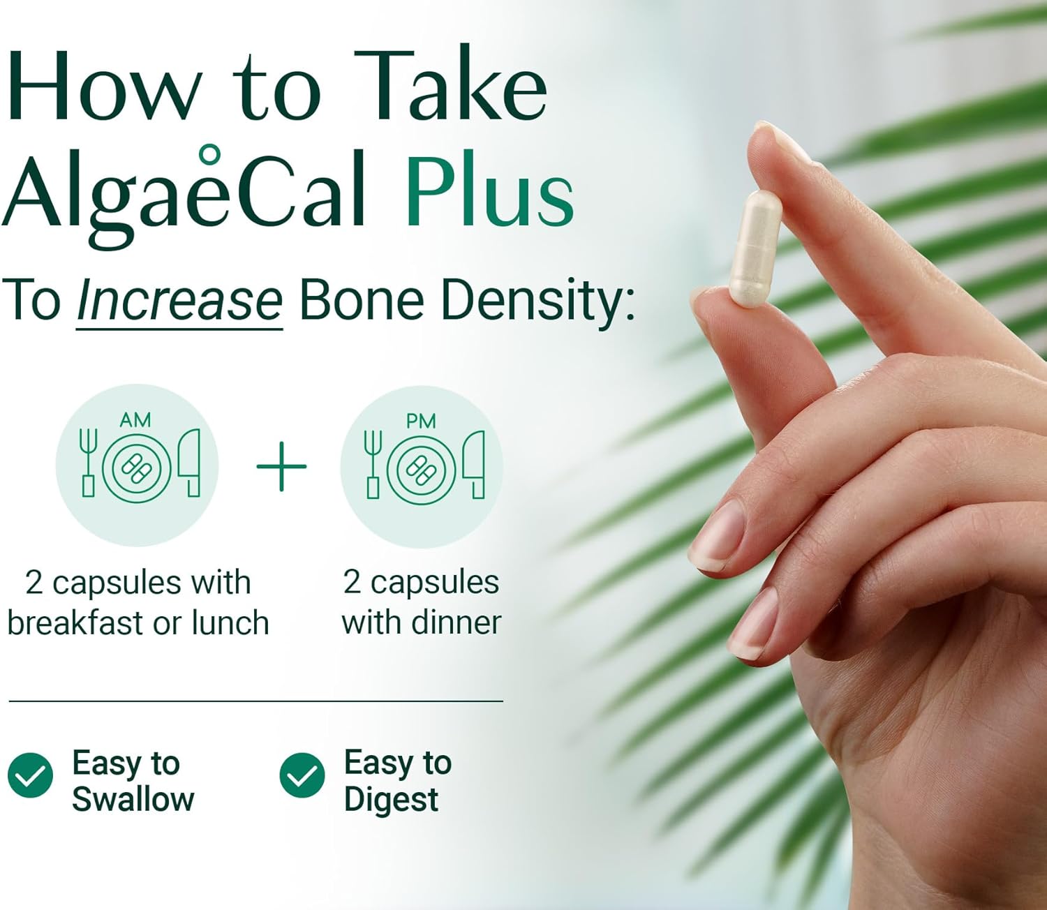 ALGAECAL Organic Red Algae Calcium Supplement for Bone Density, Vitamin K2 MK7 (100mg), Vitamin D3 (1600 IU), Magnesium (350mg) & Trace Minerals & Strength, Easy to Swallow, 120 Veggie Caps - Image 7