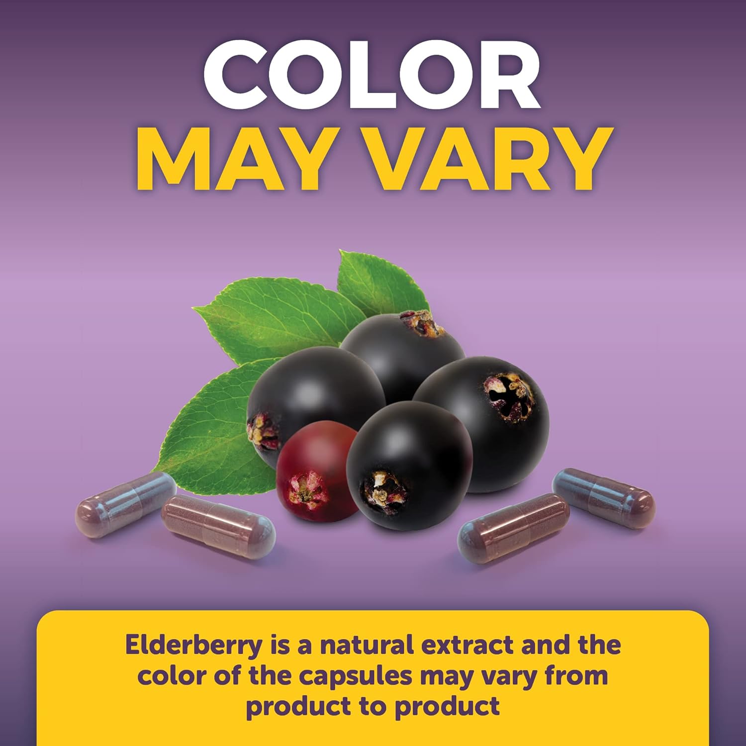 Viva Naturals Elderberry with Vitamin C and Zinc for Adults - 5 in 1 Sambucus Black Elderberry Capsules with Vitamin D3 5000 IU Immunity Supplement, Sambucus Elderberry Immune Support Supplement - Image 7