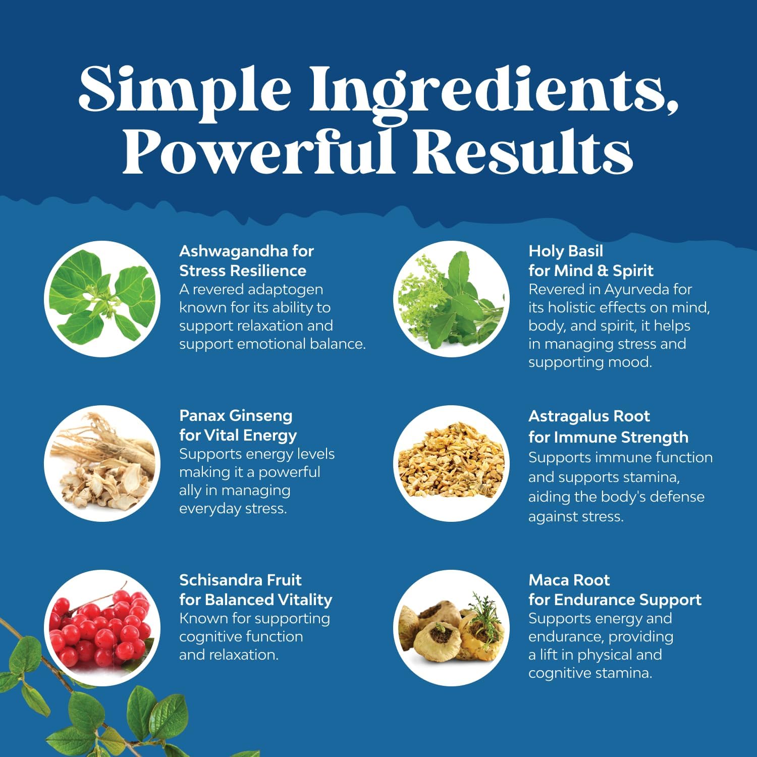 Herbal Adaptogen Mood Support Supplement - Calming Adaptogens Supplement for Stress & Cortisol Management with Ashwagandha Rhodiola Rosea & Maca Root - Vegan & Daytime Friendly - 60 Count - Image 5
