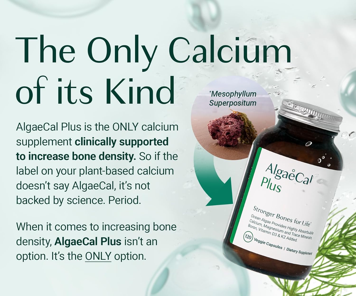 ALGAECAL Bone Builder Pack - Plant Based Calcium Supplement & Strontium - Organic Calcium 750mg with Vitamin D3 1600 IU, Vitamin K2, Magnesium, 16 Nutrients for Bone Health & Density (1-Month Supply) - Image 3