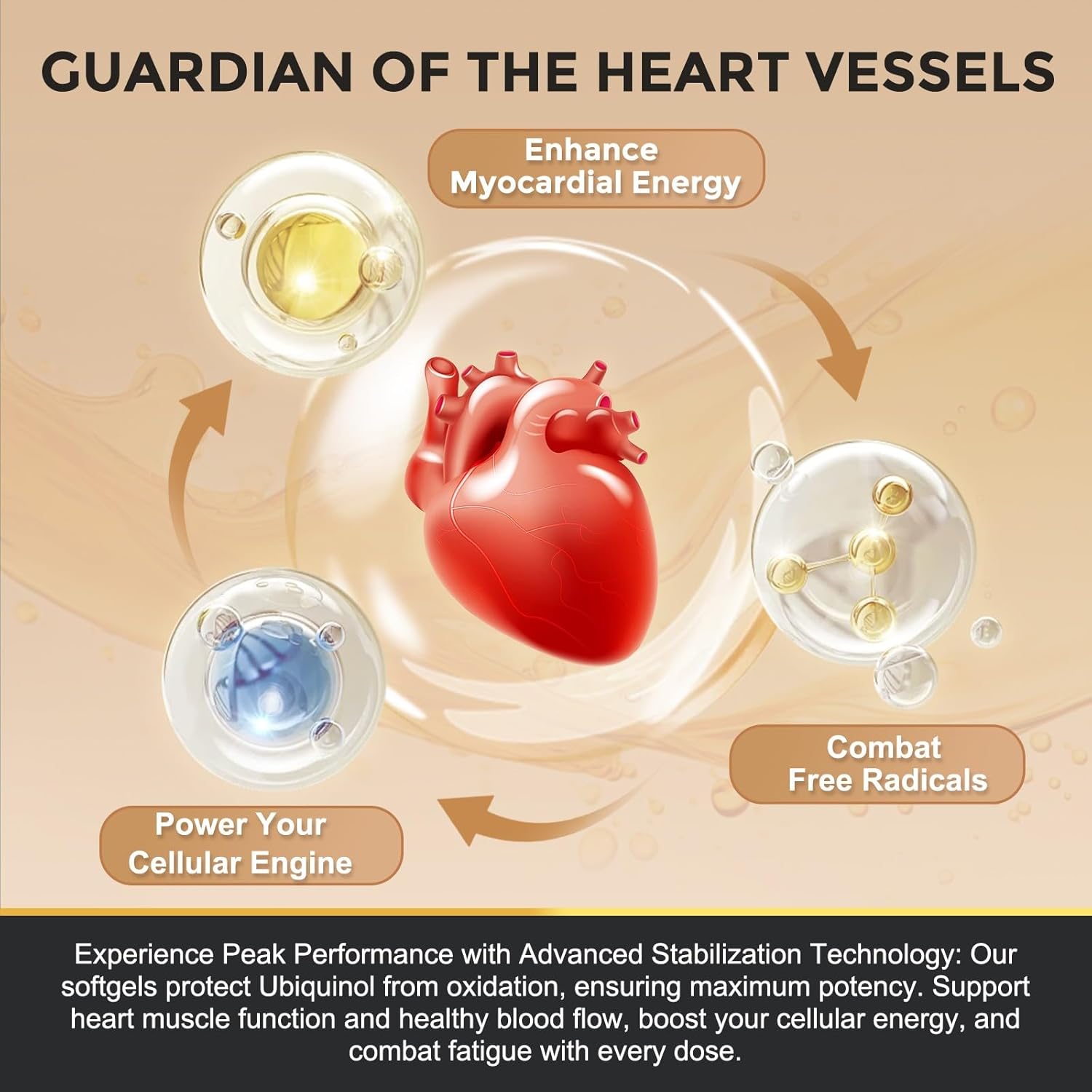 ZEBORA Ubiquinol CoQ10 200mg Softgels, 4-in-1 Powerful Antioxidant for Heart and Vascular Health, Essential for Energy Production, Max Absorption Active Form of CoQ10, 120 Softgels - Image 4