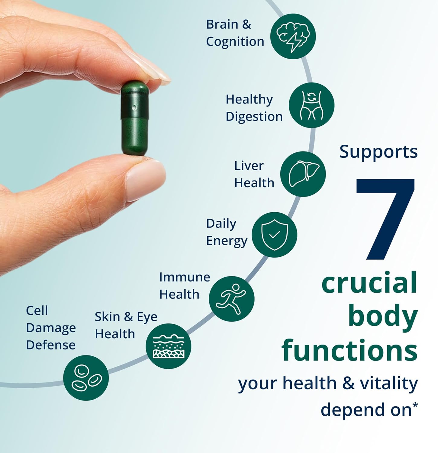Metagenics PhytoMulti Multivitamin - 20+ Essential Vitamins & Minerals with Phytonutrients - Supports Healthy Aging, Cellular Health, Energy & Immune Function - Non-GMO & Gluten-Free - 60 Capsules - Image 4