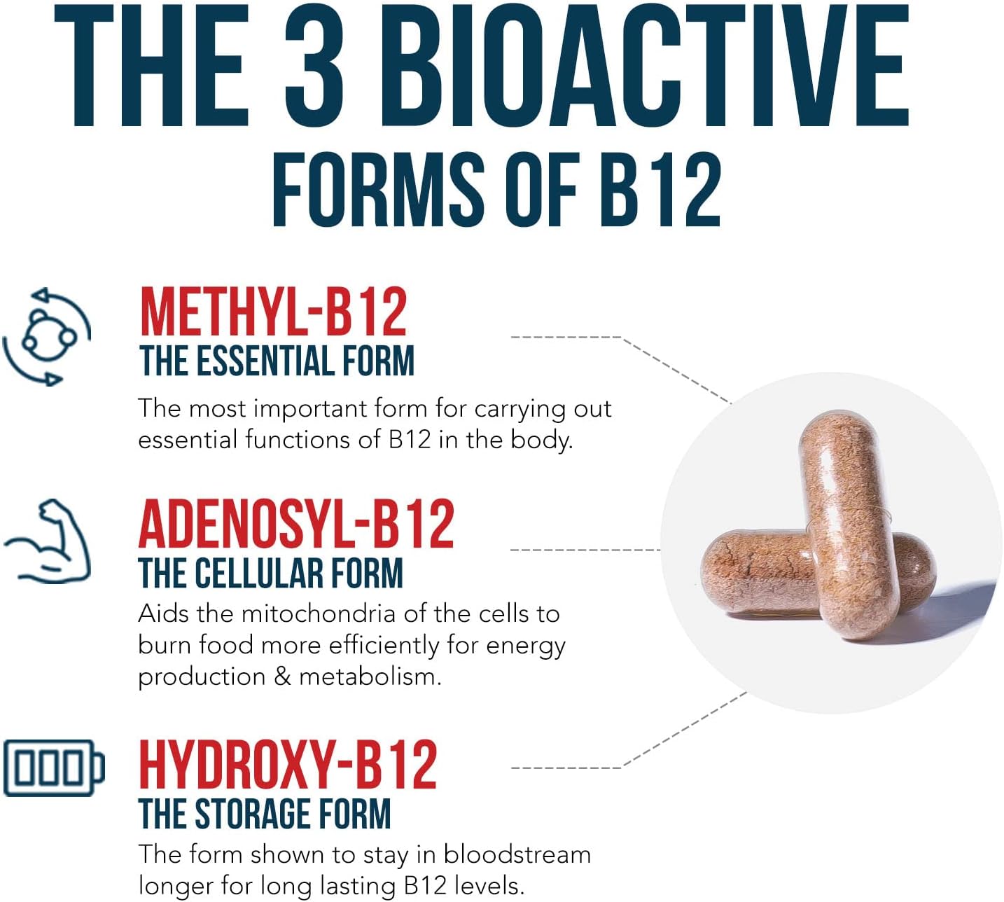 BioActive Vitamin B12 - 5000 mcg, Contains 3 BioActive Forms B12 Plus Methylfolate Cofactor - Methyl B12, Adenosyl B12 & Hydroxy B12 | Supports Energy, Metabolism & Mood | Vegan, Non-GMO (60 Servings) - Image 3