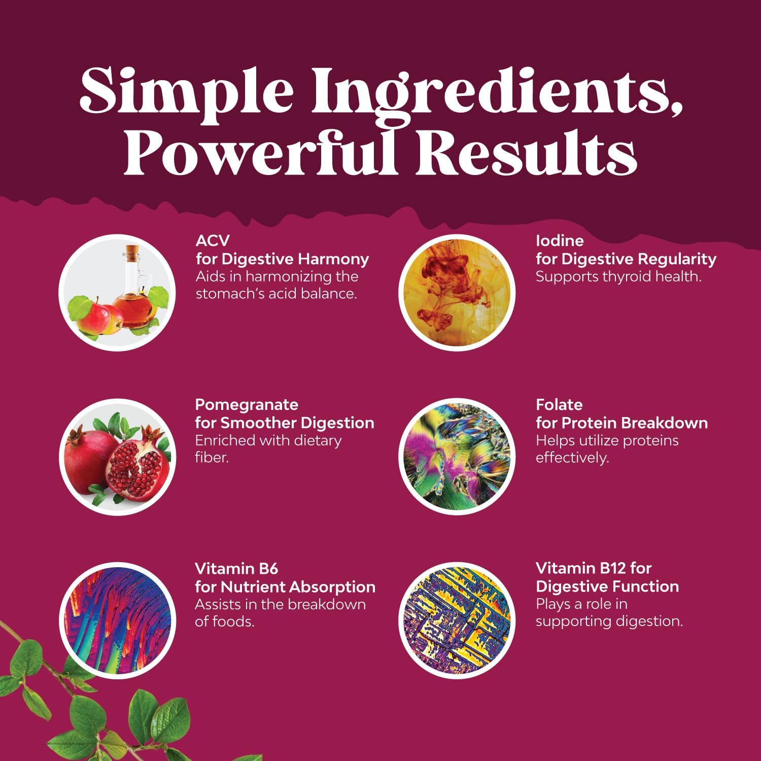 Apple Cider Vinegar Gummies with the Mother-Natural Energy Supplement ACV Gummies with Mother for Body Cleanse Immune Support and Gut Health-Delicious Gummy ACV Supplement with Beet Root Powder 2 pack - Image 4