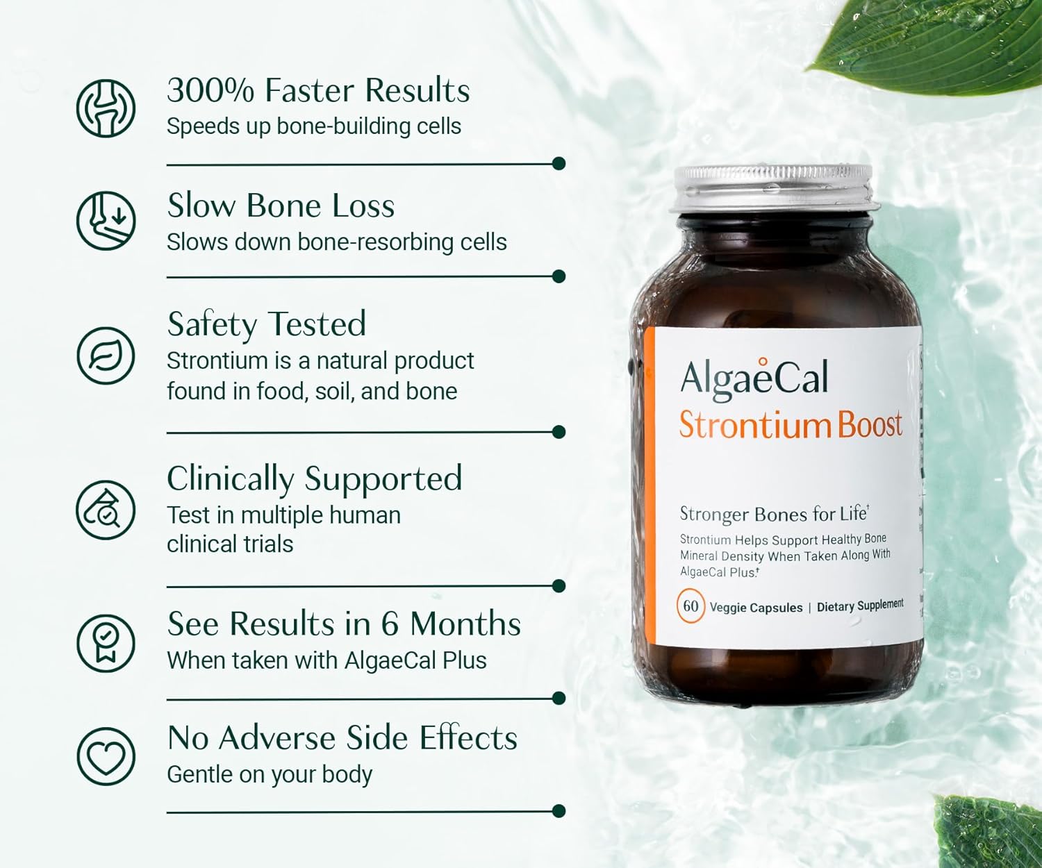 AlgaeCal - Strontium Boost, Natural Calcium Supplement for Bone Density Increase, Strontium Citrate 680 mg, Easy to Swallow for Bone Health & Bone Strength, Gluten-Free - 60 Veggie Caps- Made in USA - Image 3