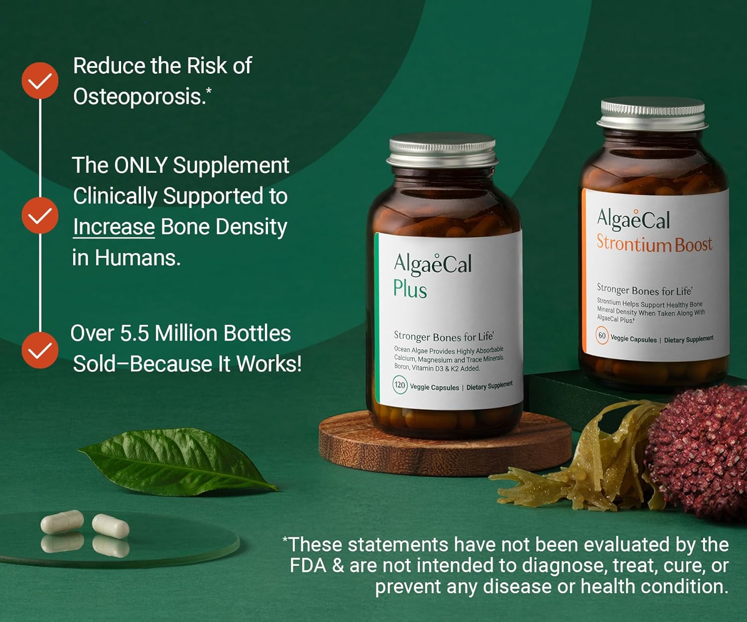 ALGAECAL Bone Builder Pack - Plant Based Calcium Supplement & Strontium - Organic Calcium 750mg with Vitamin D3 1600 IU, Vitamin K2, Magnesium, 16 Nutrients for Bone Health & Density (1-Month Supply) - Image 2