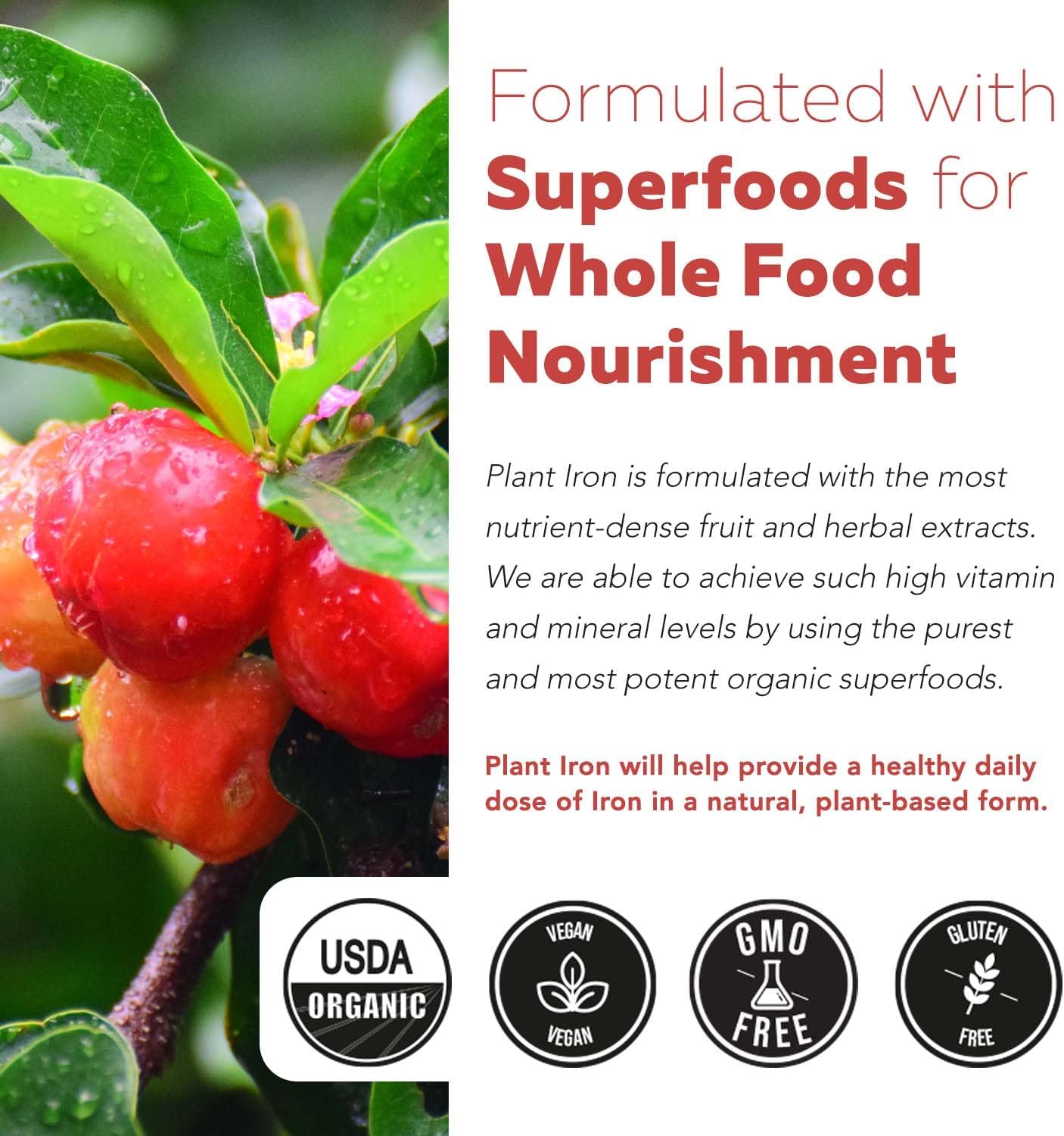 Organic Iron Supplement | Whole Food Mineral & Cofactors, 25 mg Elemental | Enhanced Absorption Plus Blood Health Vitamins – Gentle Form – Supports Healthy Levels & Blood Health – 90 Capsules - Image 8