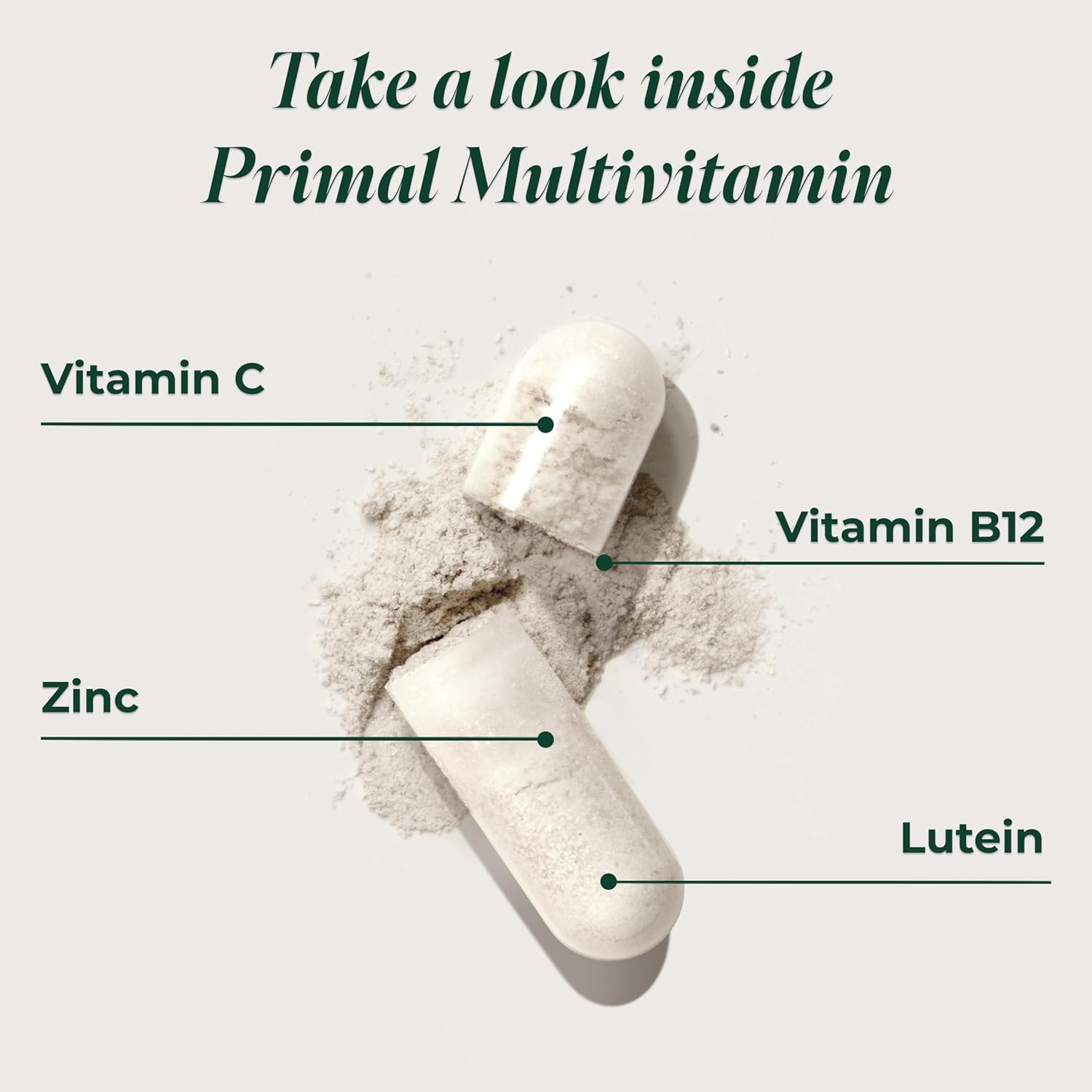 Primal Harvest Primal Multivitamin - Daily Multi-Vitamin Supplement with 21 Essential Vitamins & Minerals for Women & Men - Vitamin A, C, D, E, B12, B6, Biotin, Folic Acid, Zinc, Copper & Selenium - Image 3