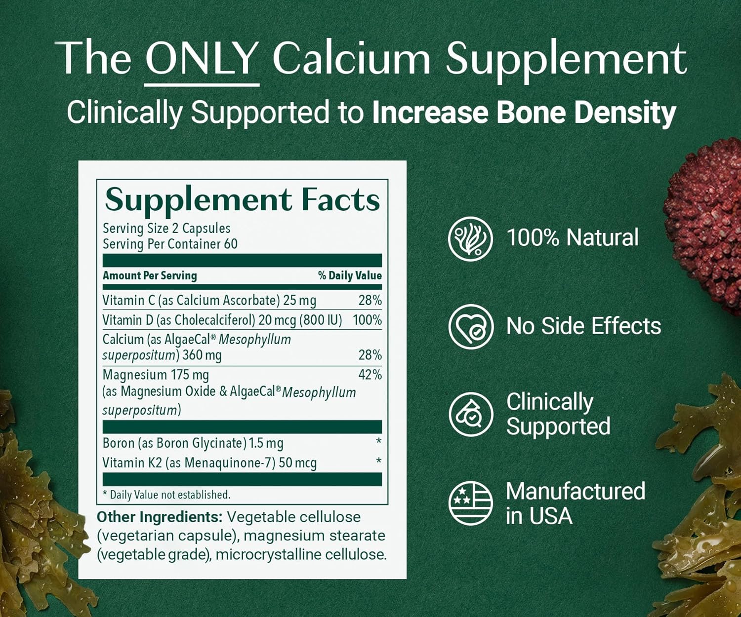 ALGAECAL Organic Red Algae Calcium Supplement for Bone Density, Vitamin K2 MK7 (100mg), Vitamin D3 (1600 IU), Magnesium (350mg) & Trace Minerals & Strength, Easy to Swallow, 120 Veggie Caps - Image 6