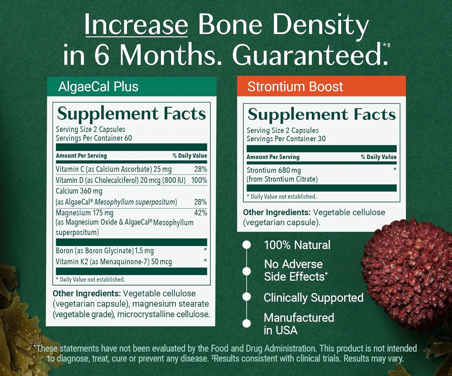 ALGAECAL Bone Builder Pack - Plant Based Calcium Supplement & Strontium - Organic Calcium 750mg with Vitamin D3 1600 IU, Vitamin K2, Magnesium, 16 Nutrients for Bone Health & Density (1-Month Supply) - Image 8