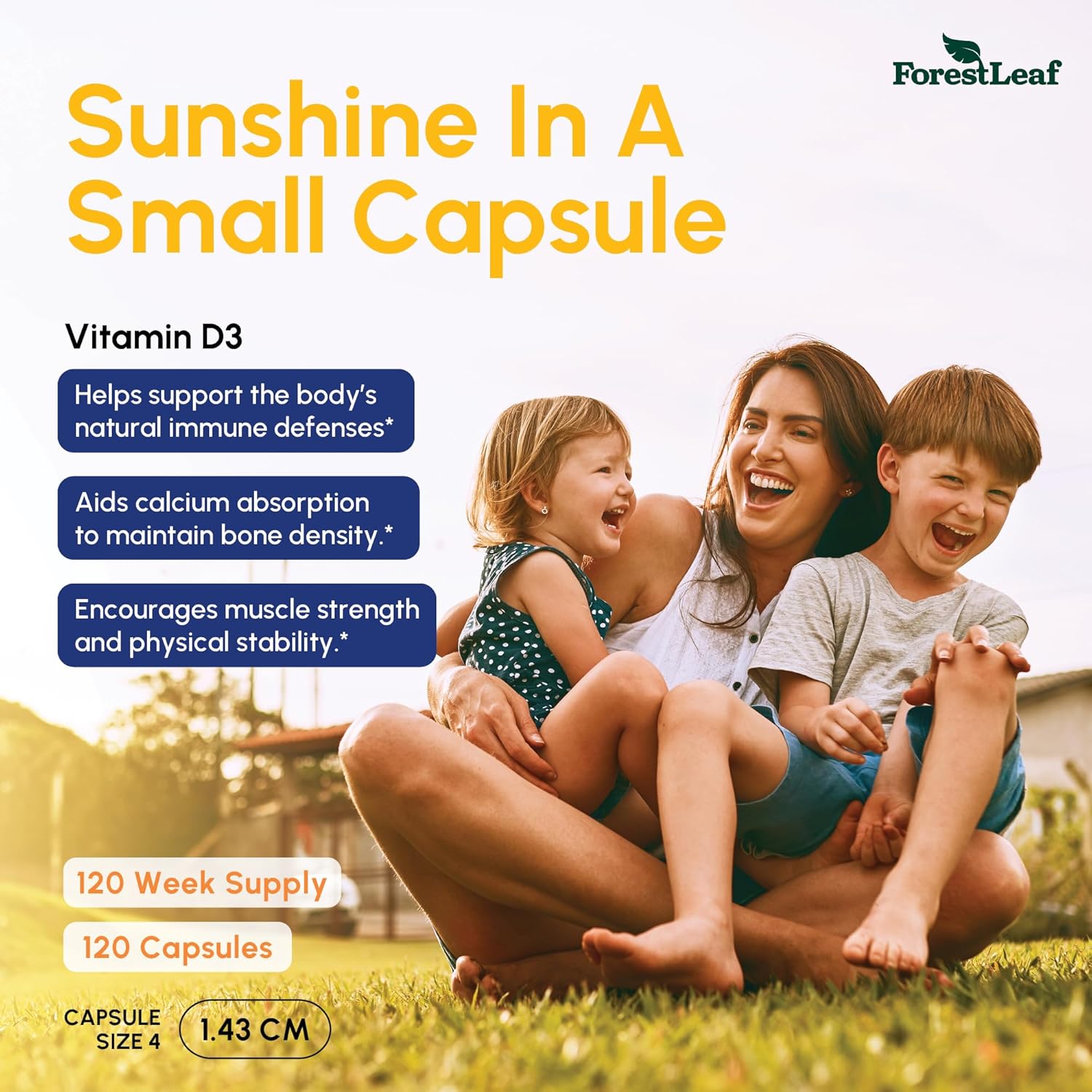 ForestLeaf Vitamin D3 50,000 IU | VIT D - Kosher VIT D3 Vitamin D Supplement for Women and Men | Bone Health, Teeth, Immune Support | Weekly Dose, 2-Year Supply, 120 Caps - Image 2