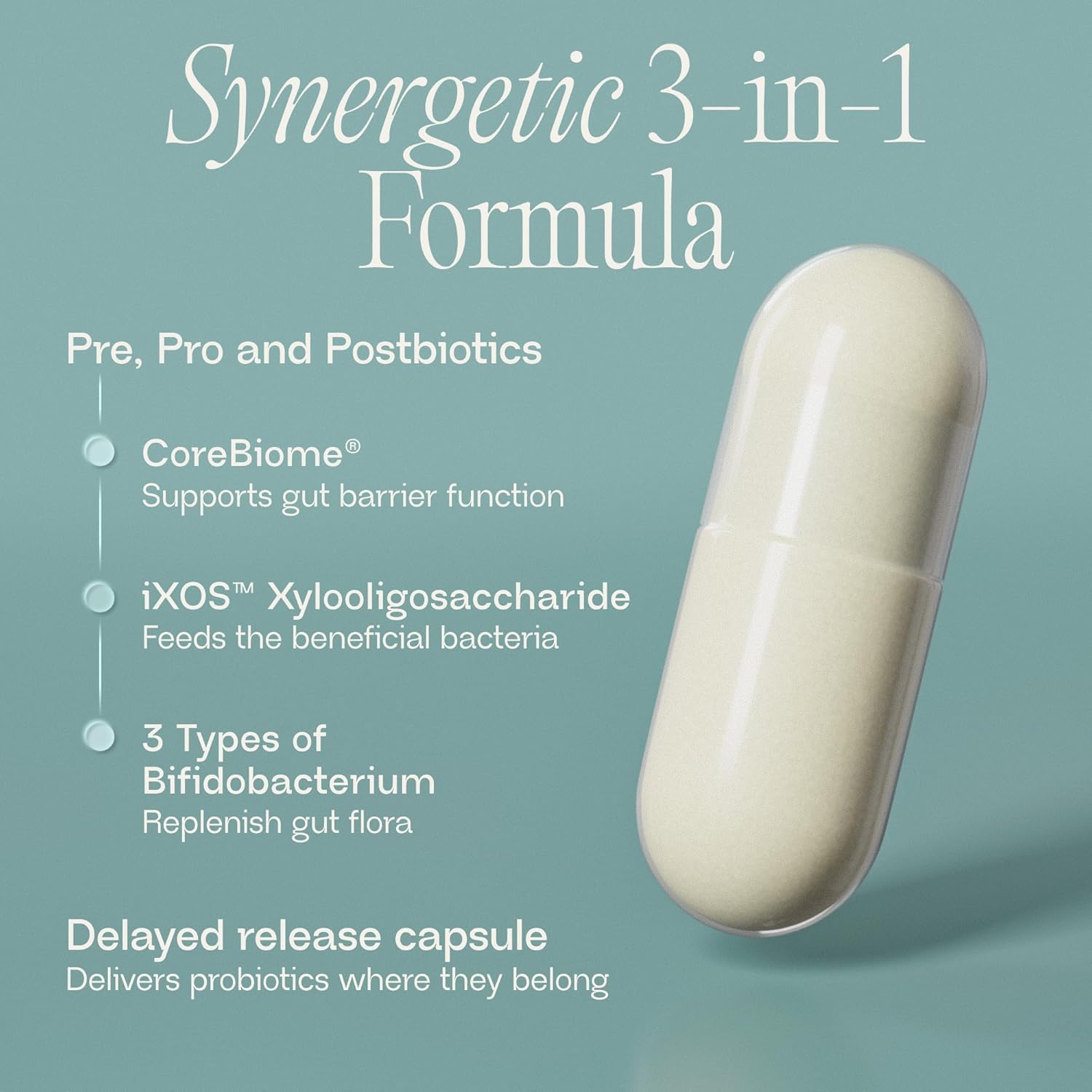 BIOMA Probiotics - Digestive Health Probiotic - Gut Support for Men & Women with Xylooligosaccharides, Tributyrin & Bifidobacterium - Vegan & Gluten Free - 60 Delayed-Release Capsules (30-Day Supply) - Image 3
