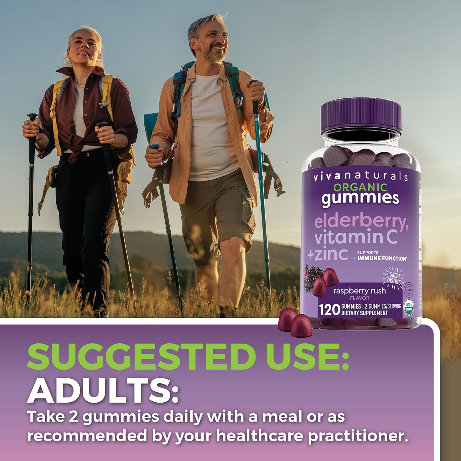 Elderberry Vitamin C and Zinc Immune Support Gummies , Made of 150mg Black Elderberry Per Serving for Adults, Sambucus Elderberry Gummies with Raspberry Rush Flavor, USDA Organic, Non-GMO, (120 Count) - Image 6