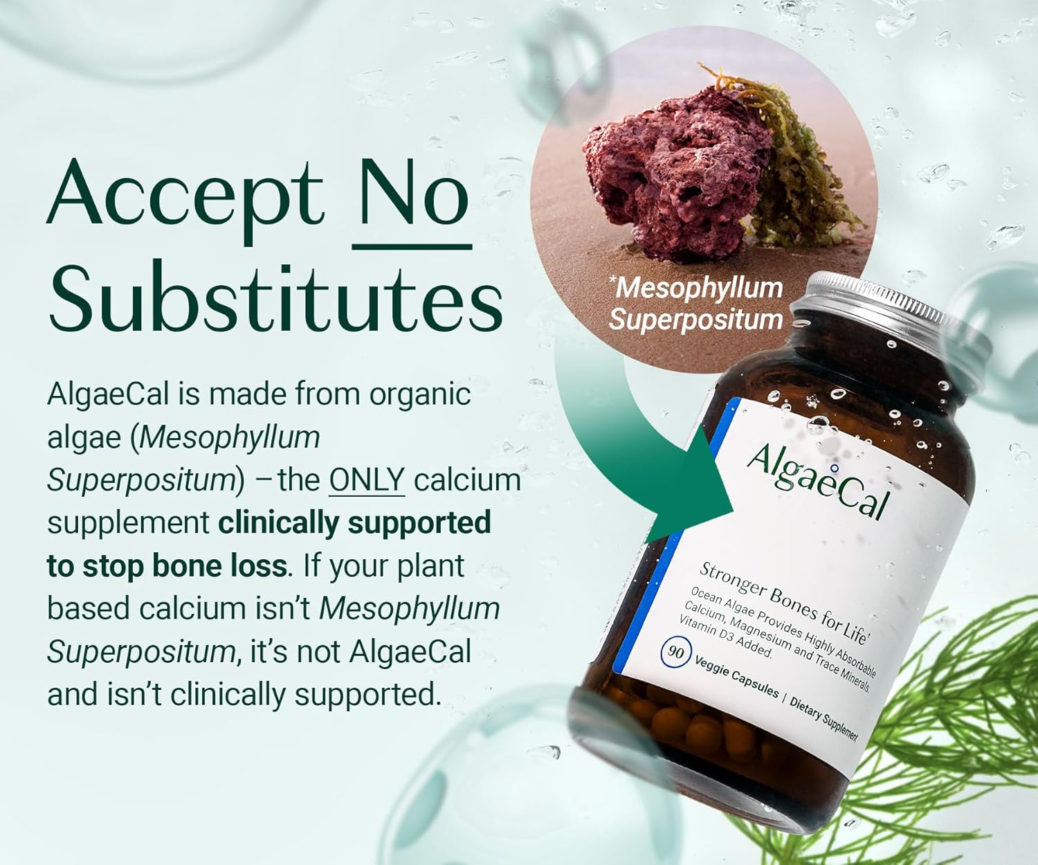 ALGAECAL - Plant Based Calcium Supplement for Women & Men - Organic Calcium 750mg with Vitamin D3 1000 IU, 13 Minerals for Bone Strength, Bone Health Support, 90 Veggie Caps (1 Pack) - Image 3