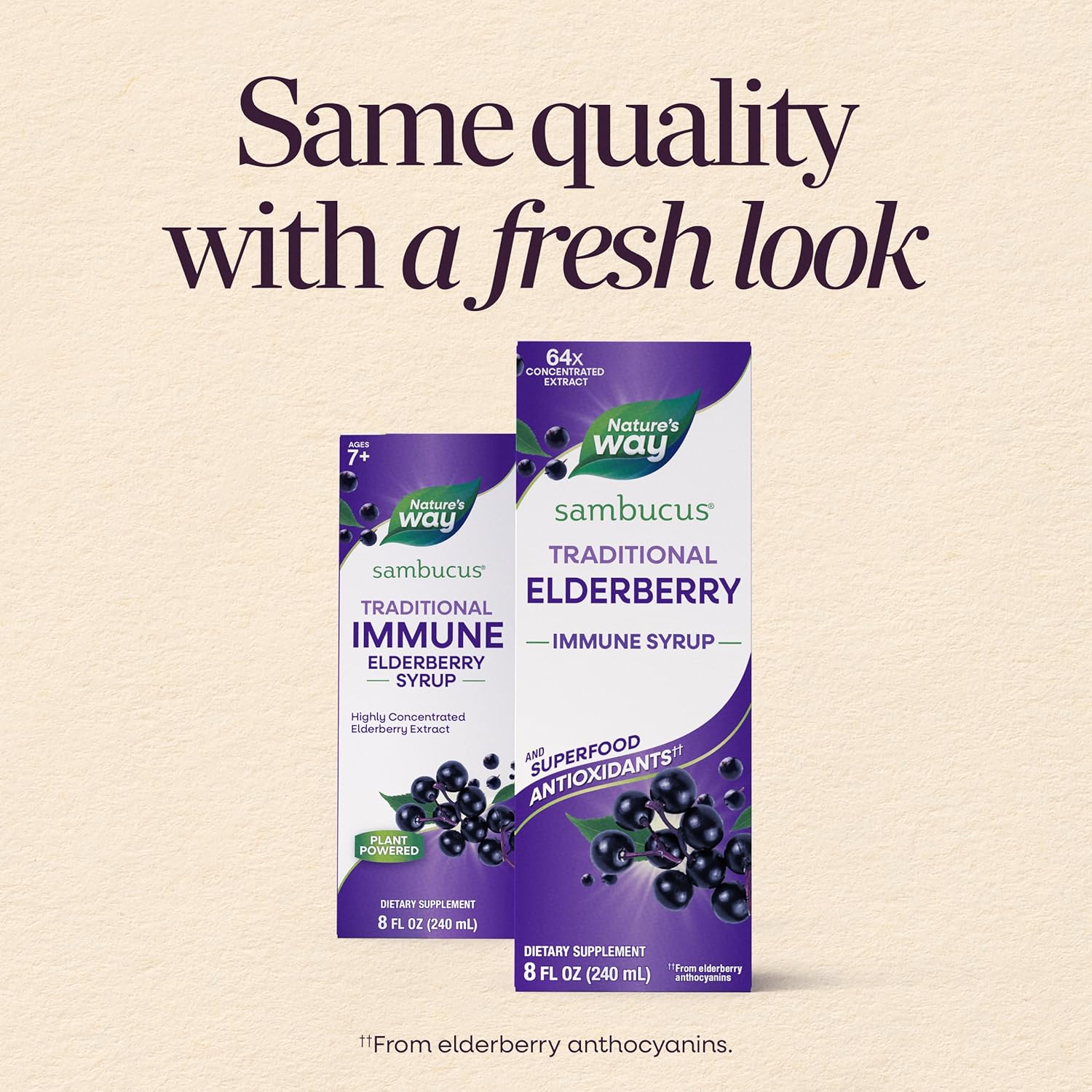 Nature’s Way Sambucus Elderberry Traditional Immune Syrup, Highly Concentrated Black Elderberry Extract, Traditional Immune Support*, Delicious Berry Flavored, 8 Fl Oz (Packaging May Vary) - Image 2
