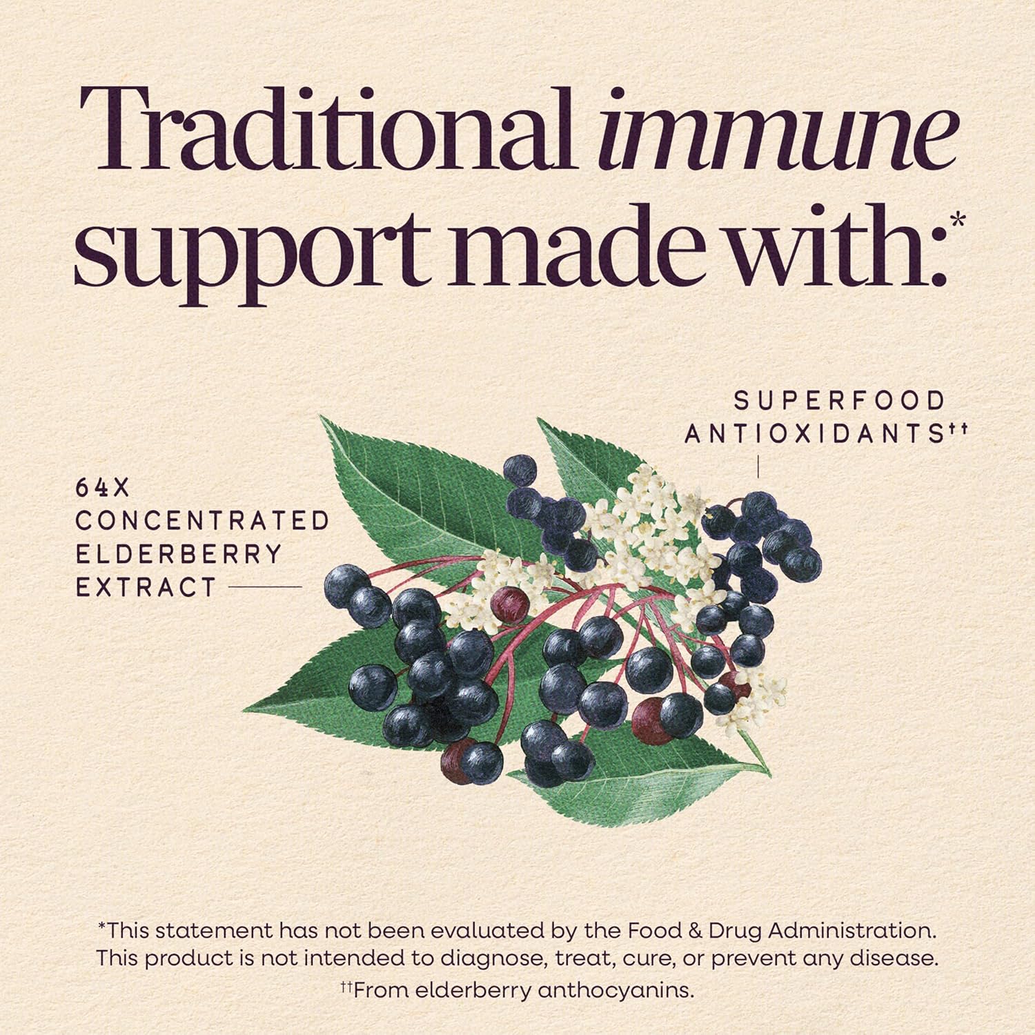 Nature’s Way Sambucus Elderberry Traditional Immune Syrup, Highly Concentrated Black Elderberry Extract, Traditional Immune Support*, Delicious Berry Flavored, 8 Fl Oz (Packaging May Vary) - Image 4