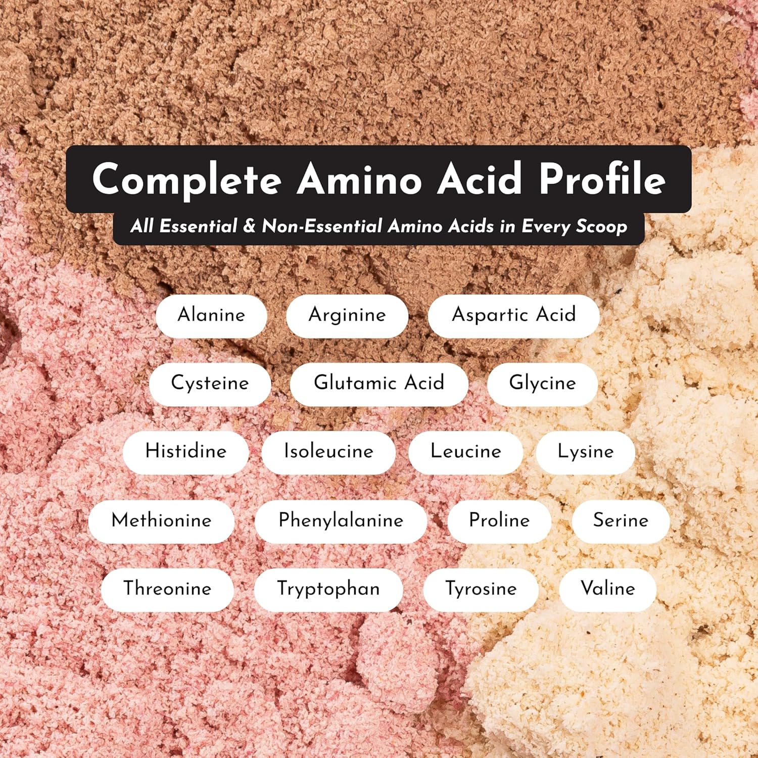 Chocolate Protein Powder – 30-Serving Blend with 100% Grass-Fed Whey & Organic Plant Proteins – Rich Cocoa Flavor – Supports Muscle Recovery, Energy & Satiety* – No Artificial Sweeteners or Fillers - Image 8