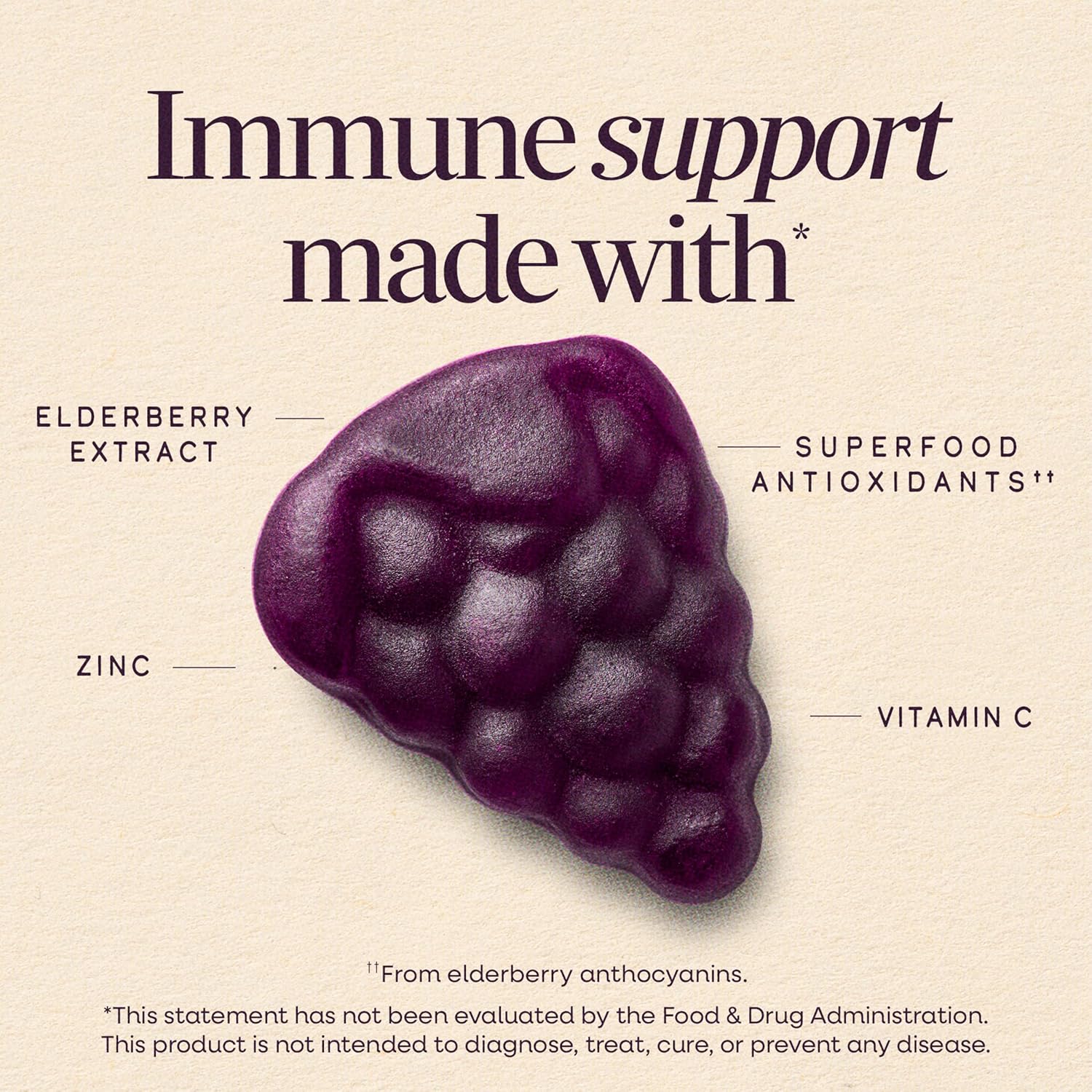 Nature's Way Sambucus Kids Elderberry Immune Gummies with Black Elderberry Extract, Daily Immune Support Gummy with Vitamin C and Zinc for Children Ages 2+*, 60 Gummies - Image 2