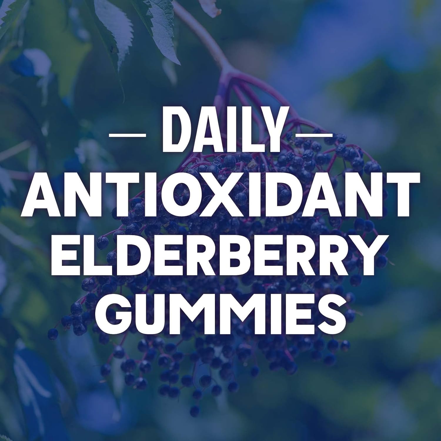 Elderberry Immune Support Gummies - 3X Strength Sambucus Elderberry Gummy with Vitamin C, D3 & Zinc - Nature’s Black Elderberry Extract - Immune Support Supplement for Adults & Kids - 60 Gummies - Image 6