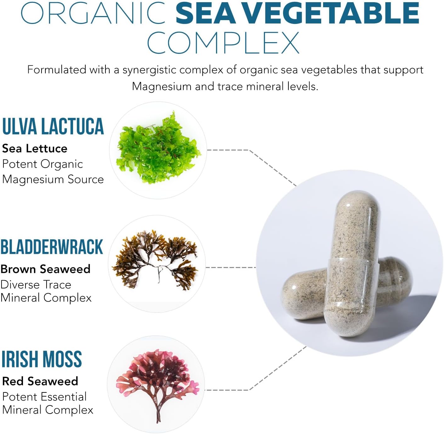 Organic Whole Food Magnesium Supplement - Plant-Based, Organic Sea Vegetable Complex - 250 mg Per Serving | Water Extracted | Gentle on Stomach | Supports Energy, Sleep, Muscle, Heart - 60 Capsules - Image 3