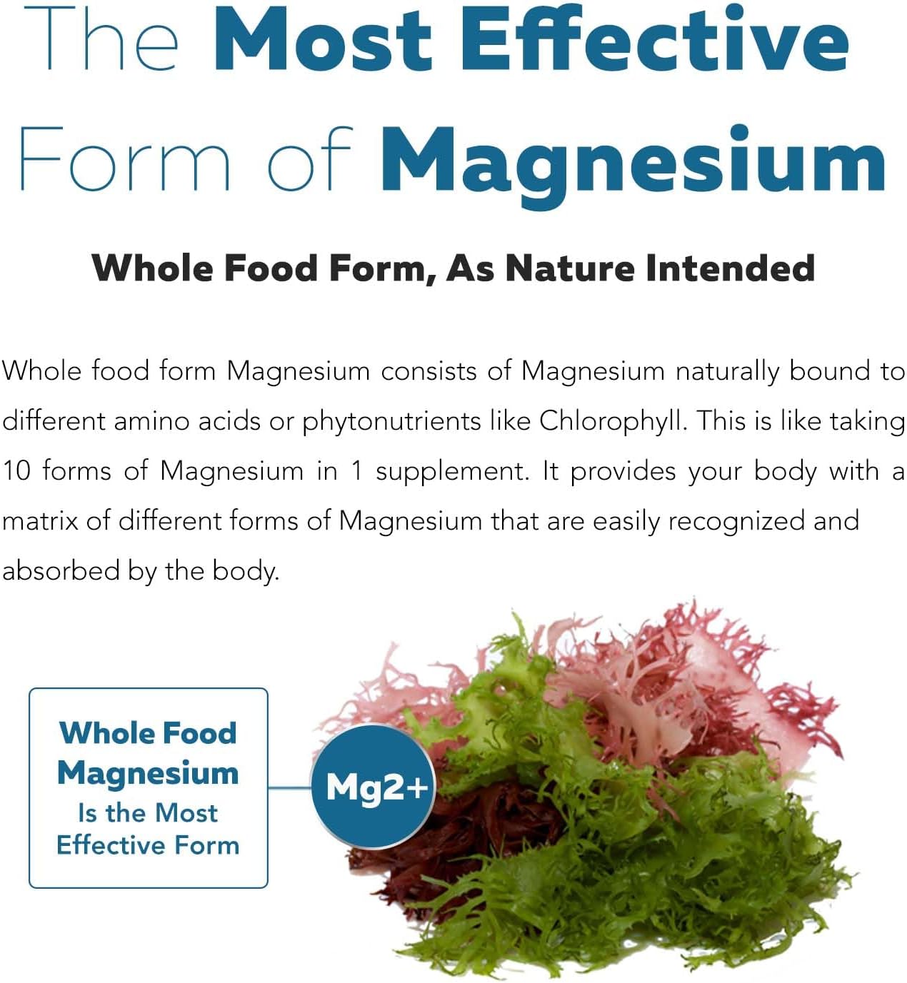 Organic Whole Food Magnesium Supplement - Plant-Based, Organic Sea Vegetable Complex - 250 mg Per Serving | Water Extracted | Gentle on Stomach | Supports Energy, Sleep, Muscle, Heart - 60 Capsules - Image 4